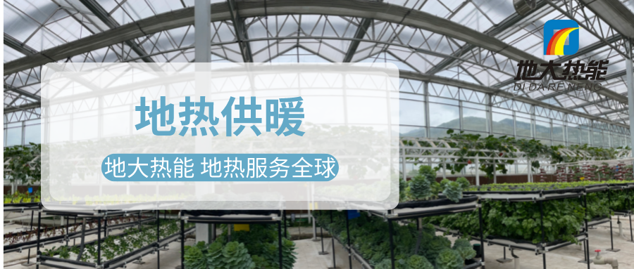 發(fā)揮地?zé)豳Y源優(yōu)勢(shì)，地?zé)徂r(nóng)業(yè)實(shí)現(xiàn)花卉產(chǎn)業(yè)特色發(fā)展 | 地大熱能 地?zé)岱?wù)全球